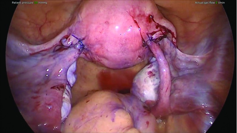 Figure 5.