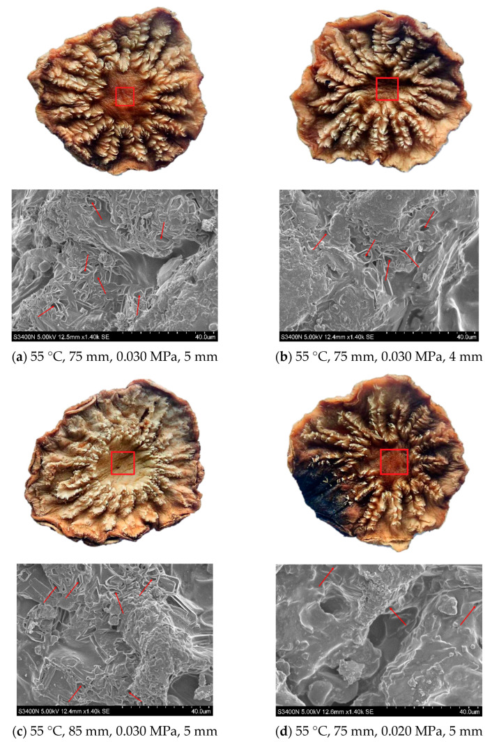 Figure 13