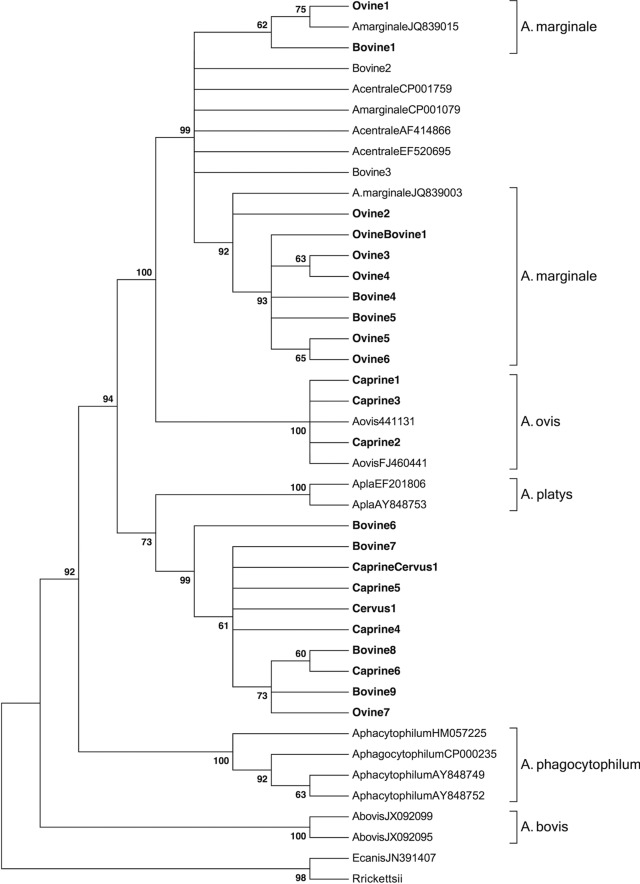 FIG 2