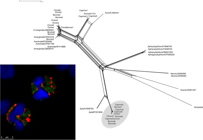 FIG 4