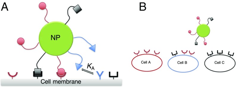 Fig. 1.