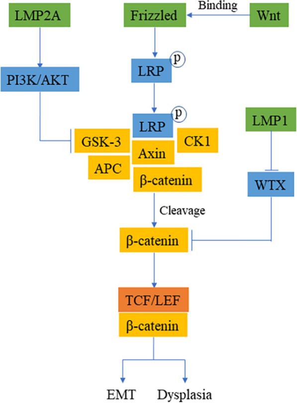 Fig. 6