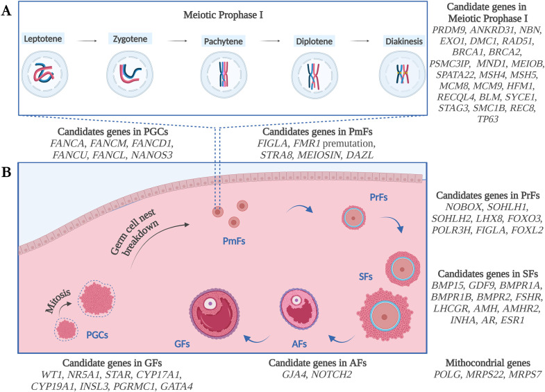 Figure 1