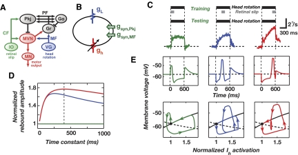 FIG. 7.