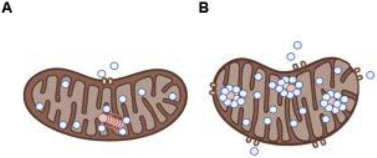 Figure 3: