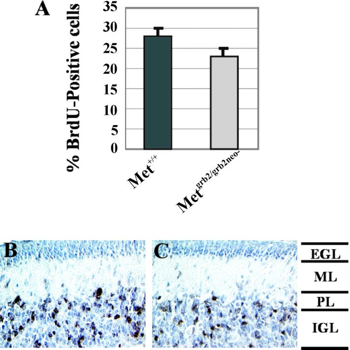 Fig 4.