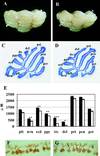 Fig 3.