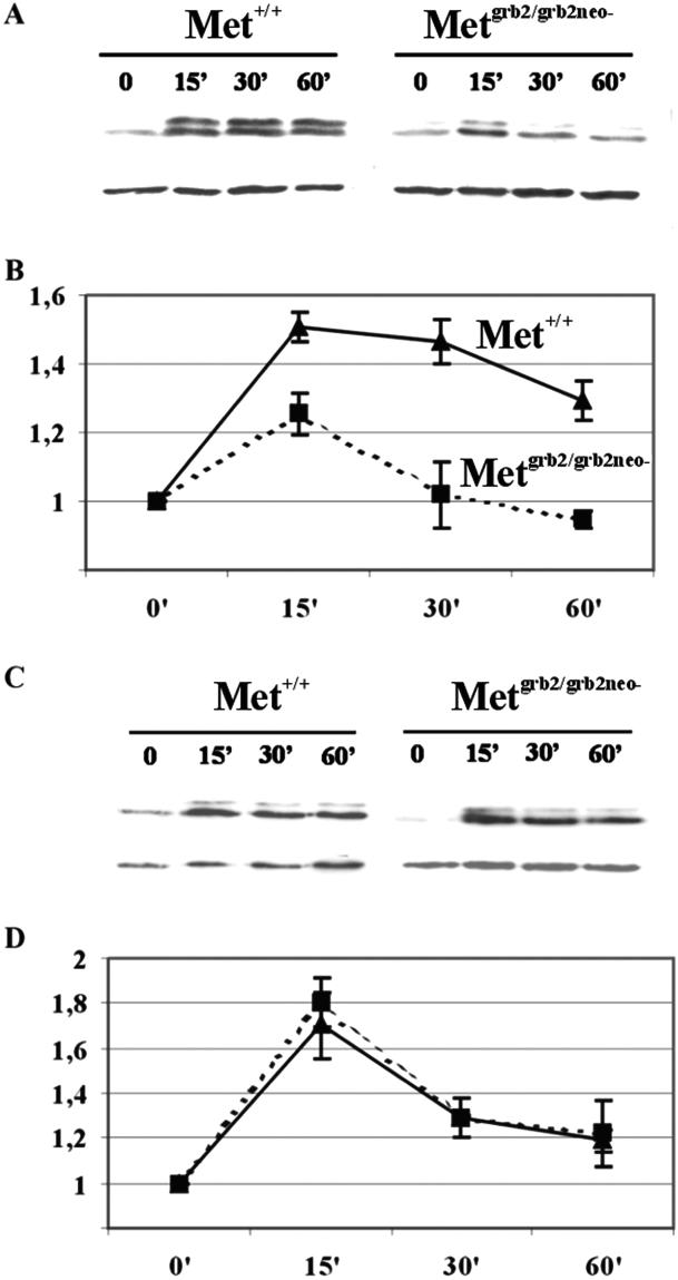 Fig 5.