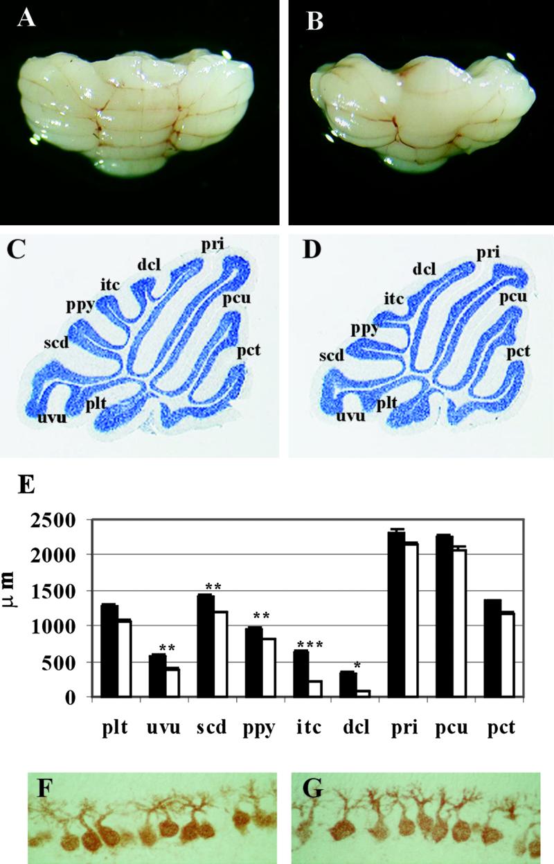 Fig 3.