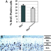 Fig 4.