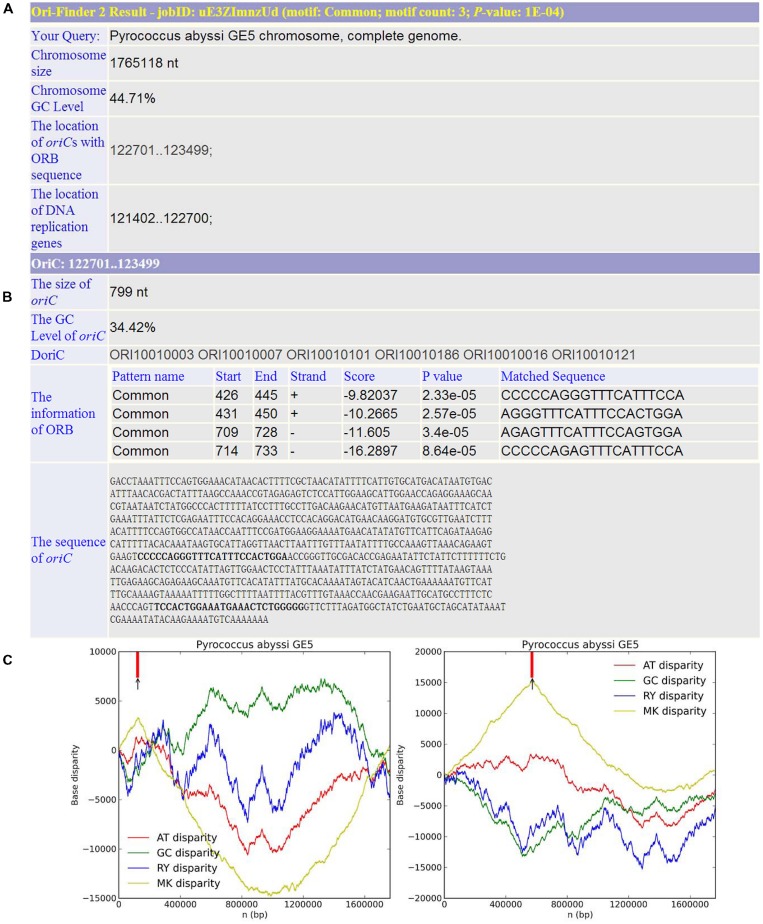 FIGURE 2