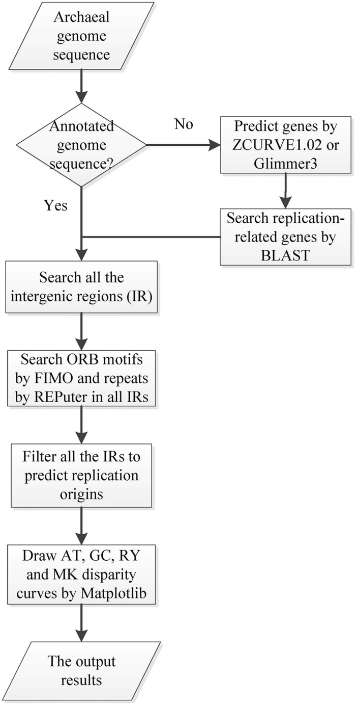 FIGURE 1