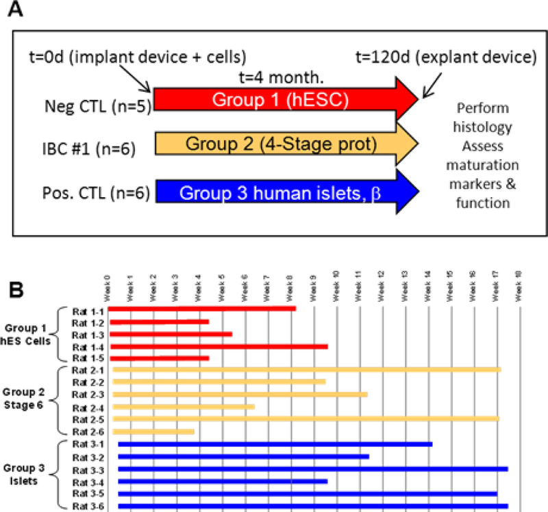 Figure 3 –