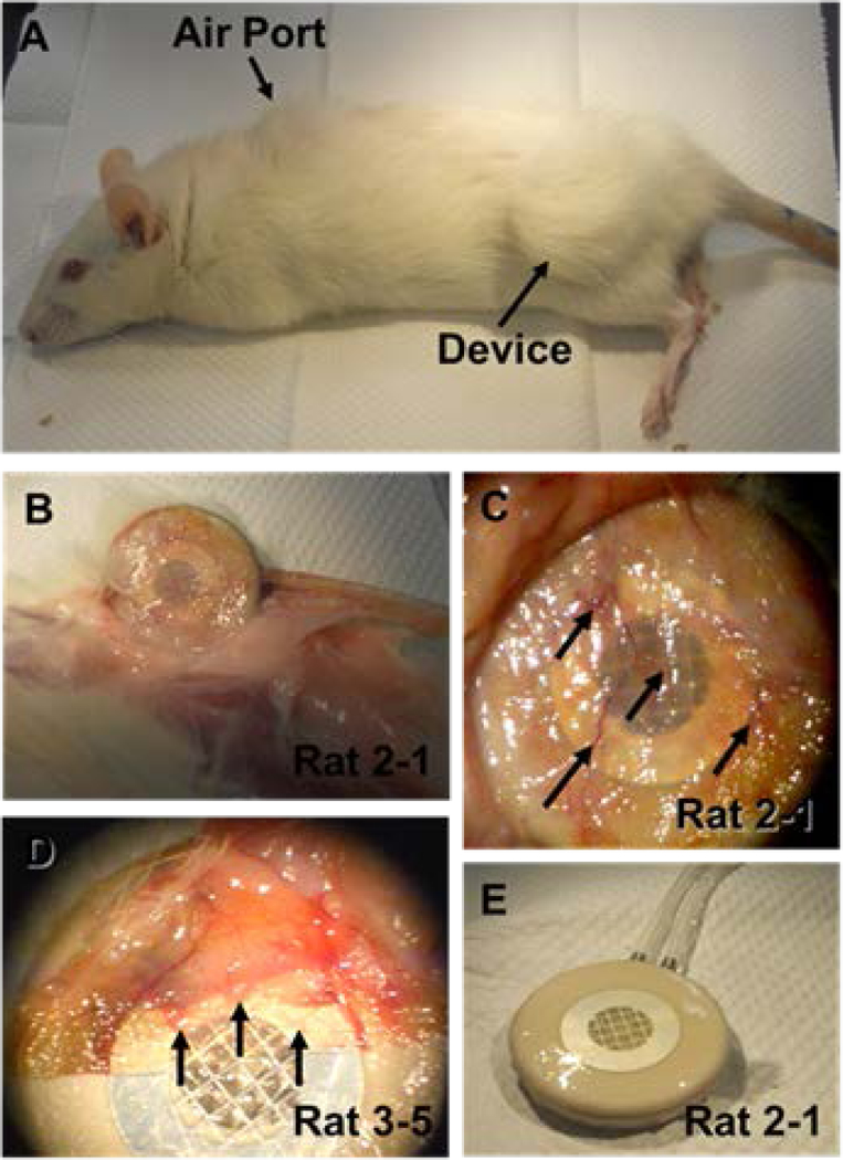 Figure 4 –