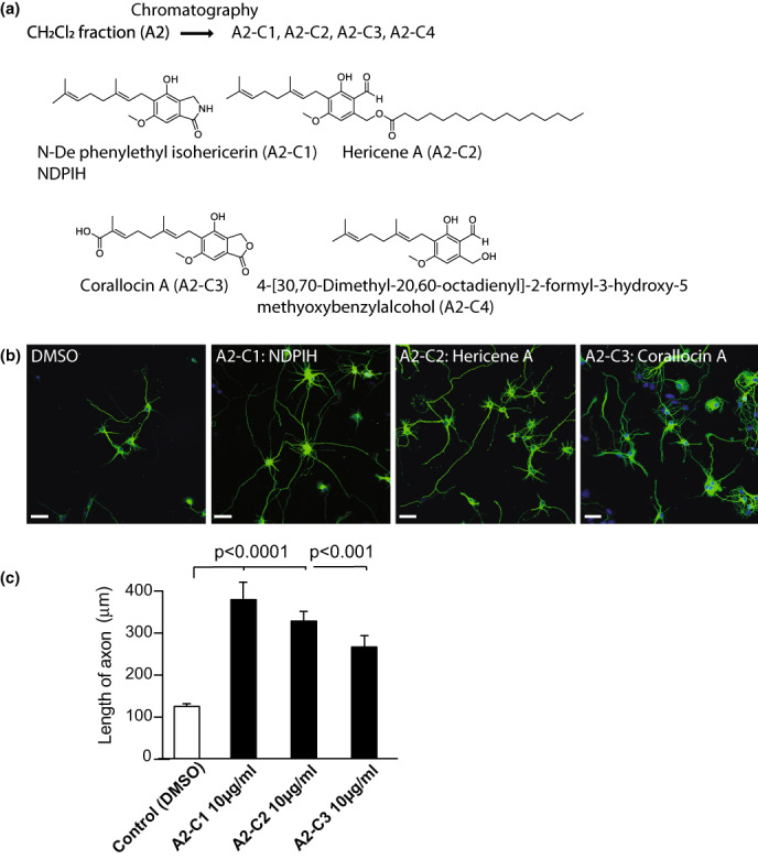 FIGURE 2