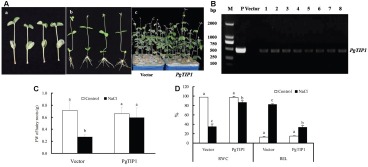 FIGURE 2