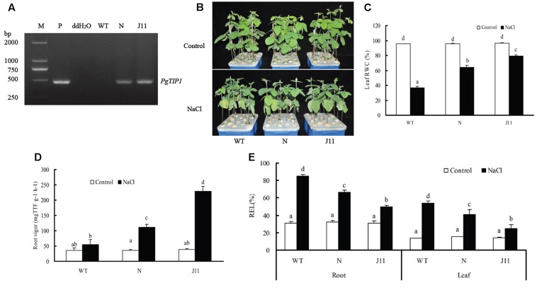 FIGURE 4