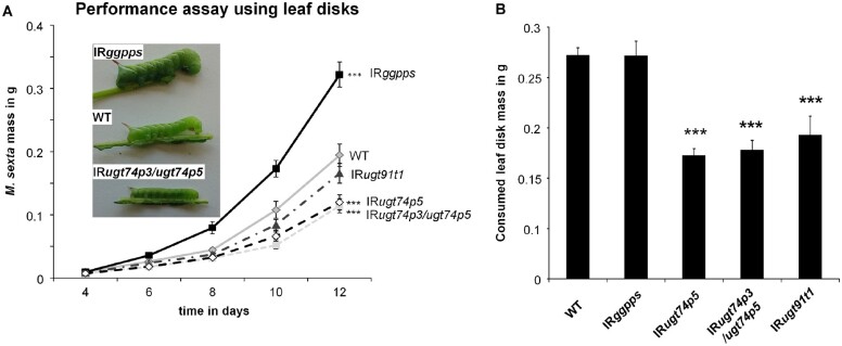 Figure 9