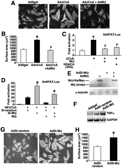 FIG. 8.