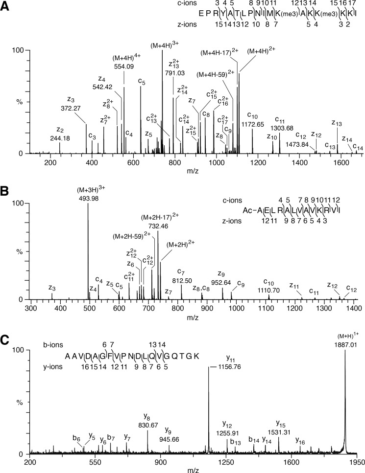 FIGURE 3.