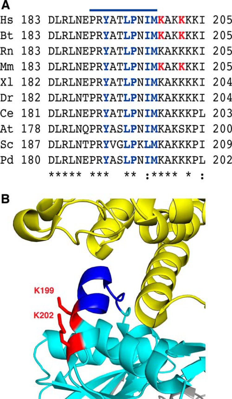 FIGURE 7.