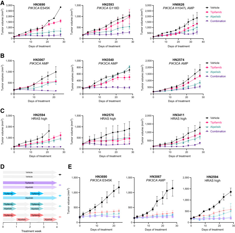 Figure 5. Combined, synchronous tipifarnib–alpelisib treatment robustly inhibits the growth of PIK3CA- and HRAS-dysregulated HNSCC PDX models. A–C, Growth of HNSCC PDX tumors harboring the indicated PIK3CA mutations (A), PIK3CA amplification (AMP; B), or HRAS overexpression (models in the top 25% of HRAS expression; C) treated with vehicle, tipifarnib (60 mg/kg twice a day), alpelisib (40 mg/kg every day), or the combination on a continuous schedule. Data represent means ± SEM; n = 3 mice per group. D, Schematic overview of the tipifarnib (60 mg/kg twice a day) and alpelisib (40 mg/kg every day) dosing schedules evaluated in select HNSCC PDX models. E, Impact of the dosing schedules outlined in D on the growth of PIK3CA- or HRAS-dysregulated PDX tumors. Data represent means ± SEM; n = 5 mice per group.