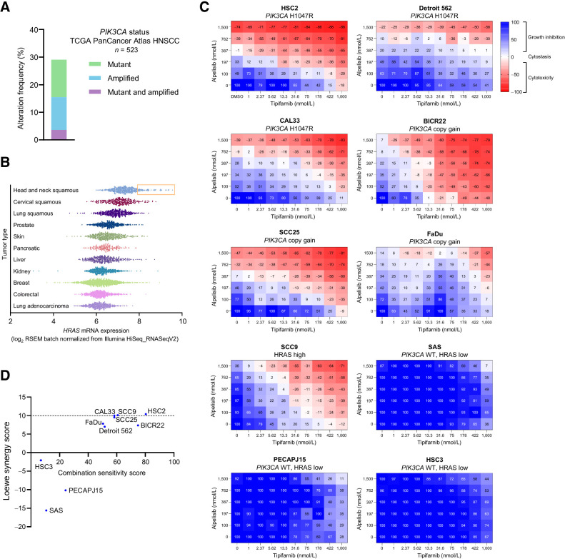 Figure 1. PIK3CA mutation/amplification and HRAS overexpression are common in HNSCC and cell lines harboring those alterations that are sensitive to combined tipifarnib and alpelisib. A, Frequency of PIK3CA gain-of-function mutations and amplifications in the TCGA HNSCC dataset (n = 523). B, HRAS mRNA expression in various tumor types in the TCGA PanCancer Atlas. Subset of HNSCCs with HRAS expression exceeding one SD from the mean is highlighted by orange box. C, HNSCC cell lines of the indicated PIK3CA/HRAS statuses were cultured as 3D tumor spheroids and treated with increasing concentrations of tipifarnib and/or alpelisib for 7 days. Heat maps indicate the degree of growth inhibition or cytotoxicity induced by the compounds. Data are representative of three biological replicates. D, Combination sensitivity and synergy scores of cell lines treated with alpelisib and tipifarnib in C. Scores were calculated from raw luminescence values (three biological replicates per cell line) using the SynergyFinder R package. Loewe synergy score of less than −10 indicates antagonistic combination activity, −10 to 10 an additive effect, and greater than +10 a synergistic effect.