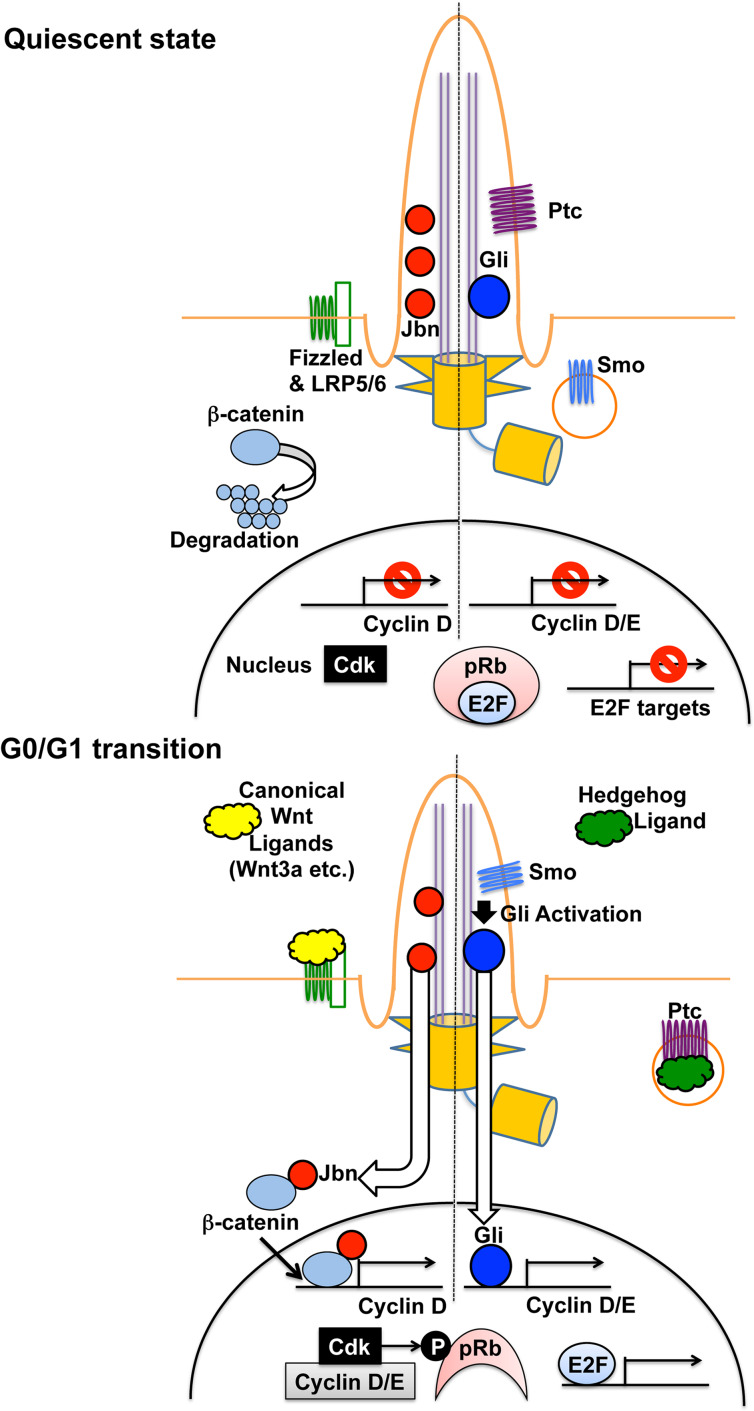 Fig. 3