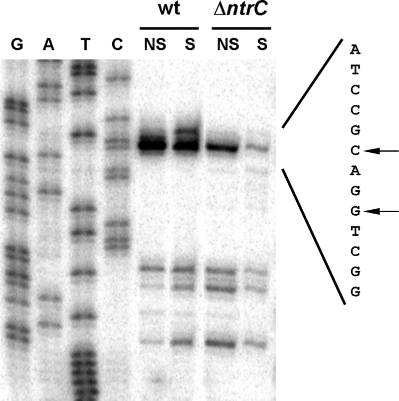 FIG. 7.