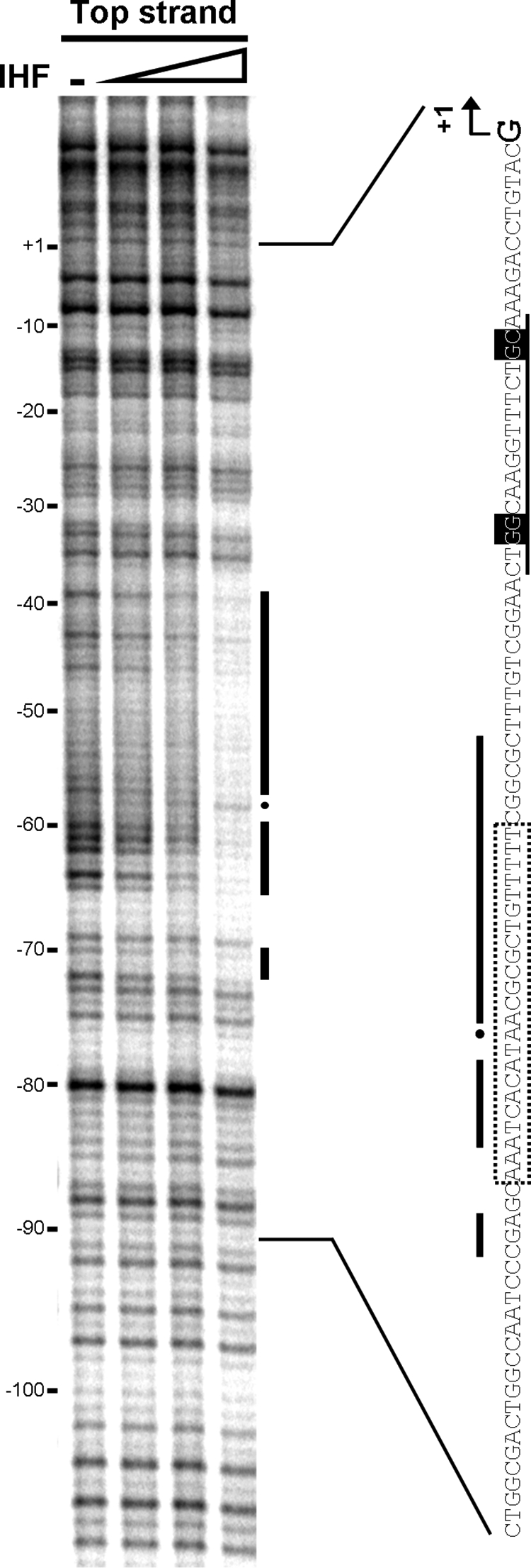 FIG. 5.