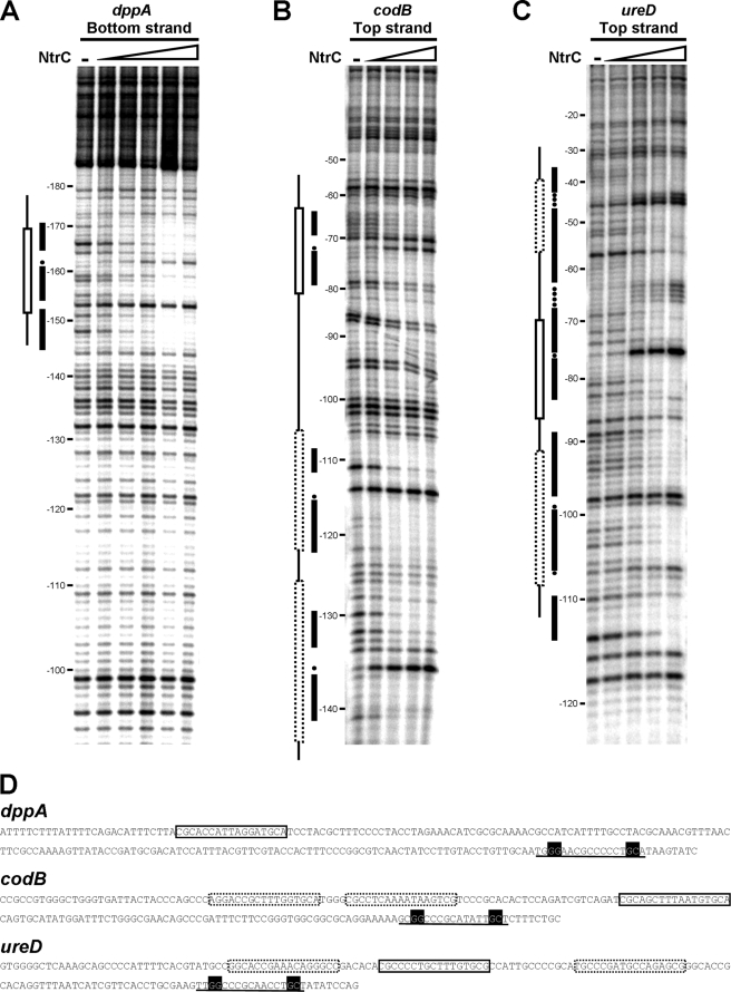 FIG. 8.