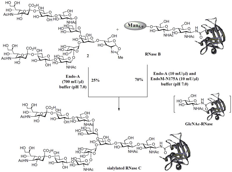 Scheme 3