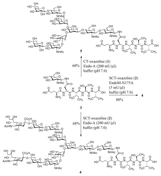 Scheme 2