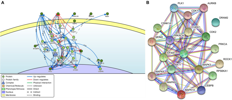 FIGURE 4