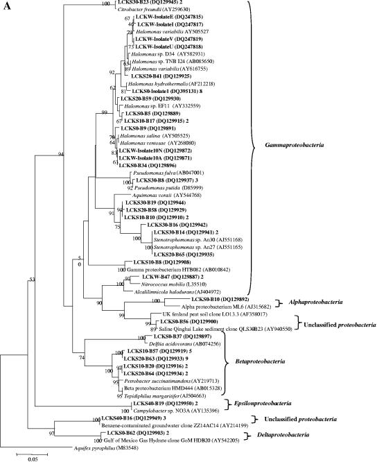 FIG.4.