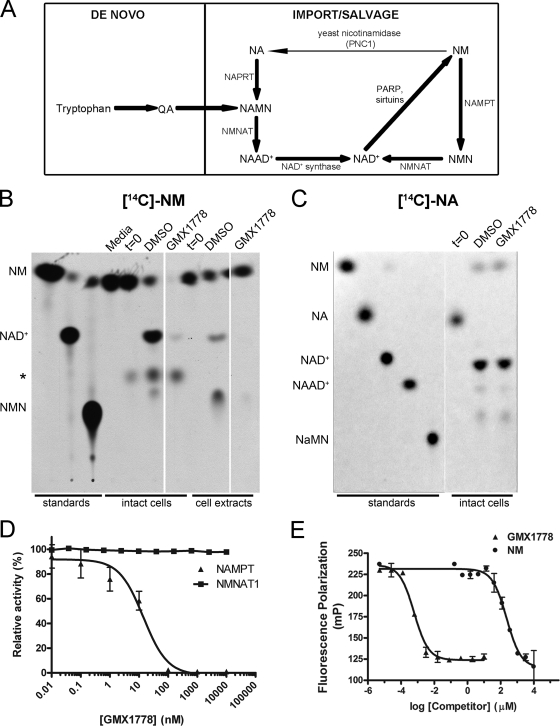 FIG. 3.