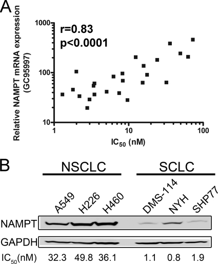 FIG. 6.