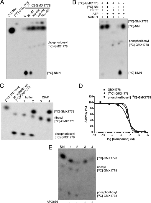 FIG. 7.