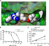 FIG. 5.