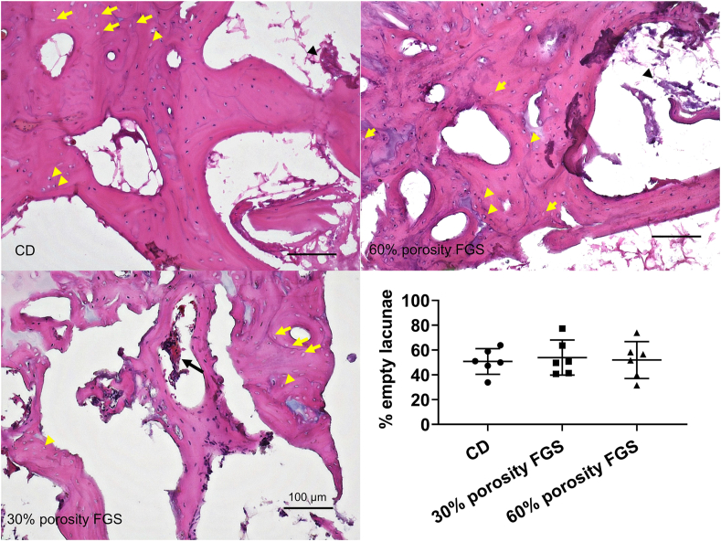 Fig. 6