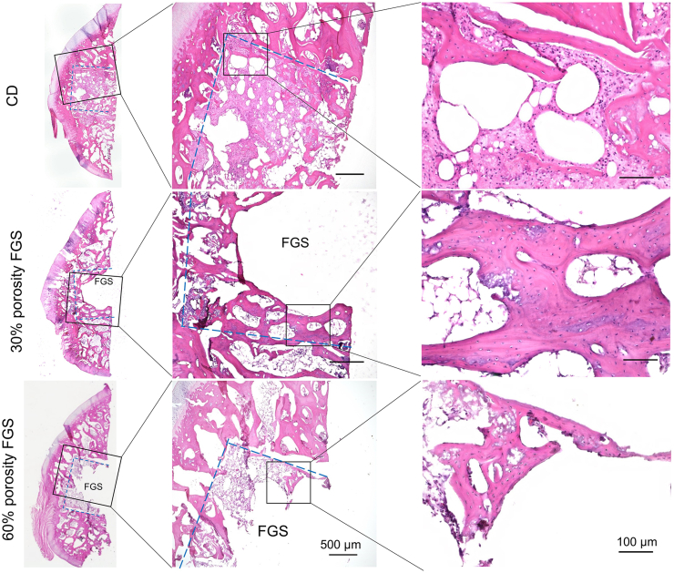 Fig. 4