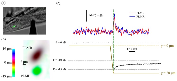 Fig. 5