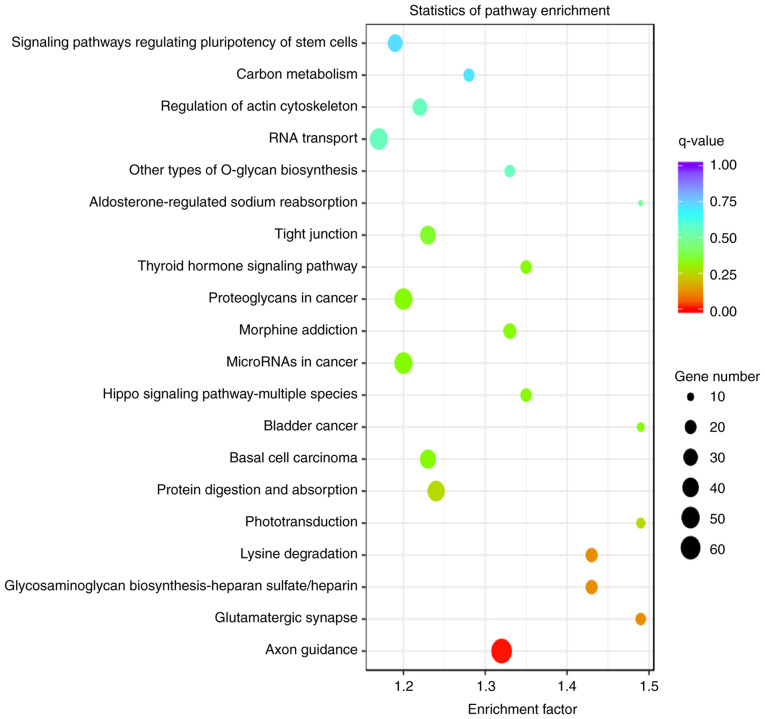 Sequencing And Bioinformatics Analysis Of Mirna From Rat Endplate 