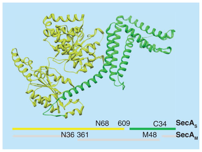 Figure 6