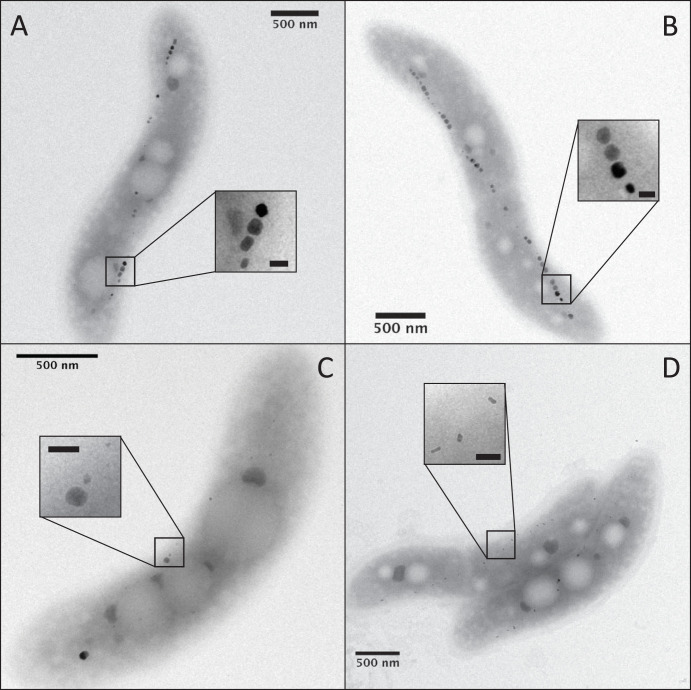 FIG 1