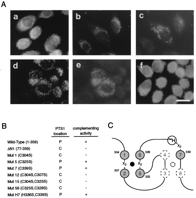 FIG. 8