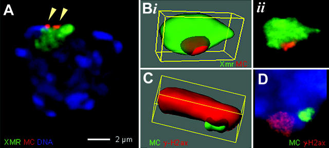 Figure 5.