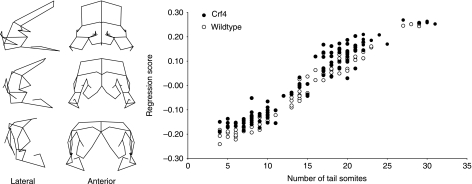 Fig. 9