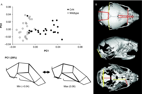 Fig. 8