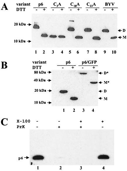 FIG. 4.